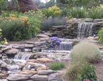 Pond and Landscape Design