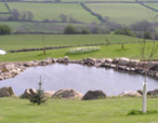 natural pond design Chester