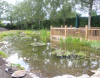 Pond and Landscape Design